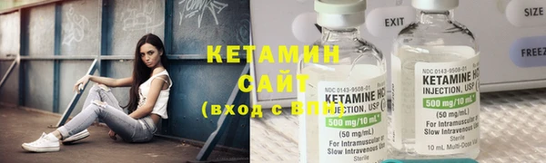 индика Бронницы