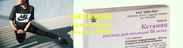 гидра Богородск