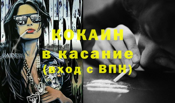 гидра Богородск