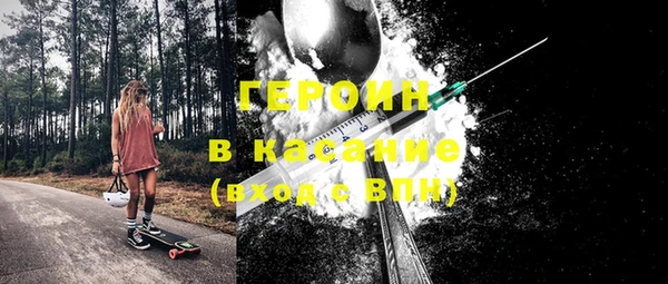 гидра Богородск