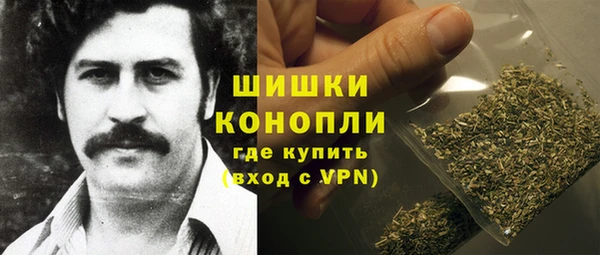 гидра Богородск