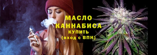 гидра Богородск