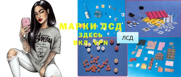 гидра Богородск