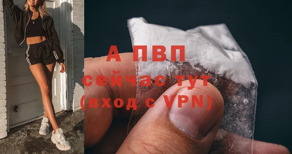 гидра Богородск